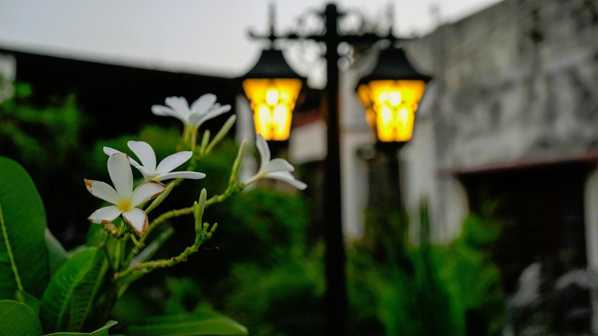 Stay Banaras - A Boutique Hotel Βαρανάσι Εξωτερικό φωτογραφία